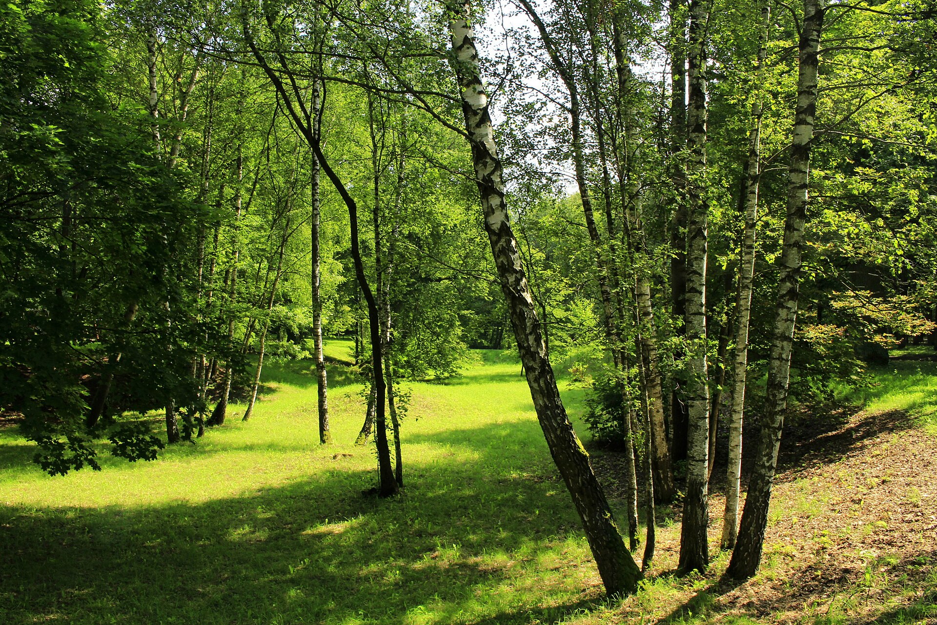 Ąžuolyno parkas