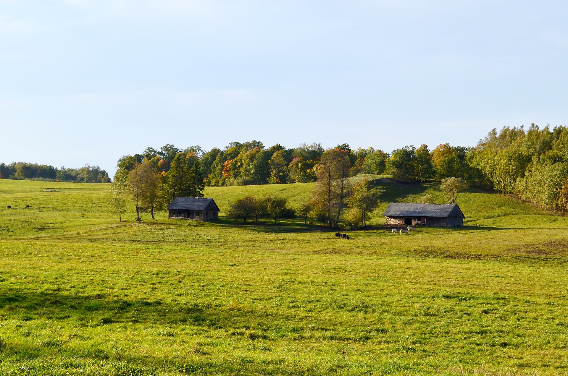 Gedminiškės I piliakalnis