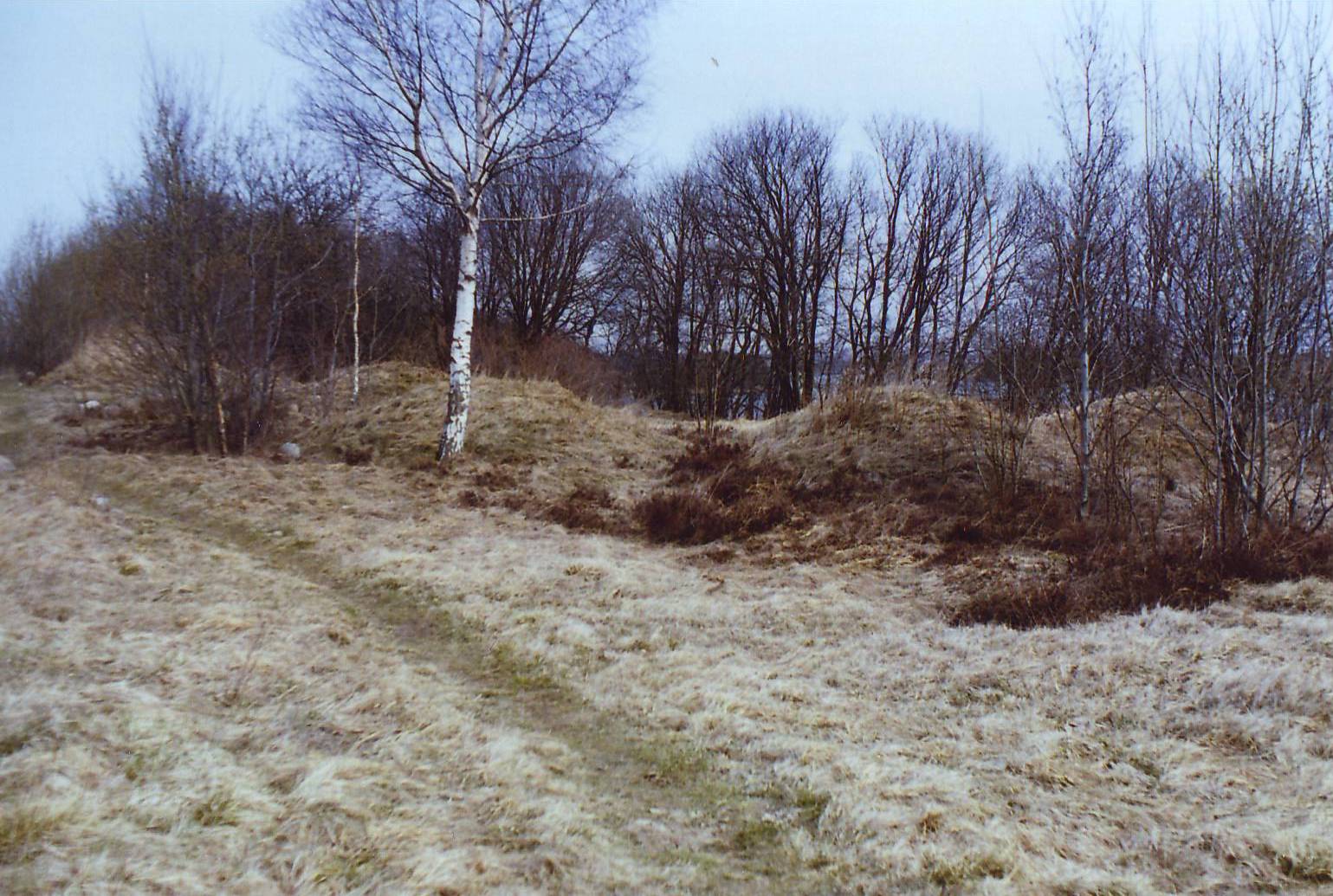 Padvarių pilkapiai