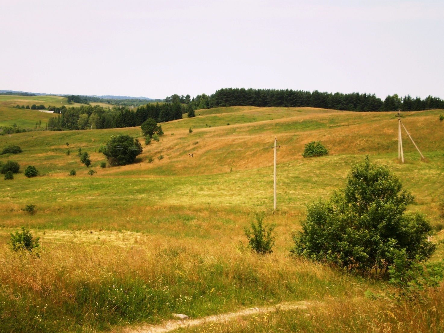 Pavištyčio piliakalnis I